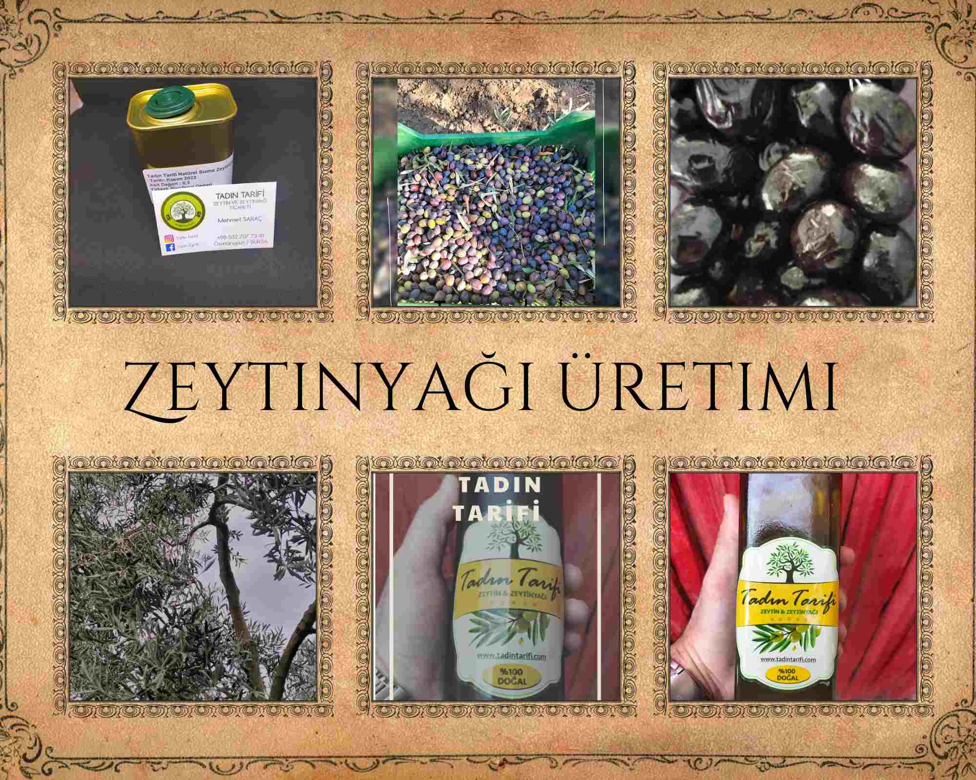 Zeytinyağı Üretimi